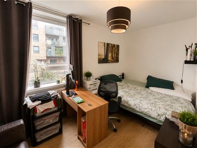 Picture 22